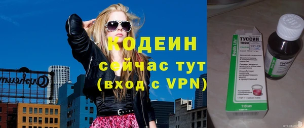 ешки Инта