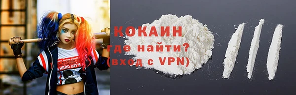 ешки Инта