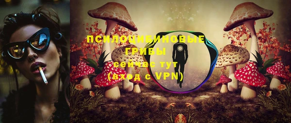 ешки Инта