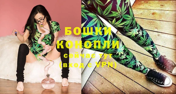 ешки Инта