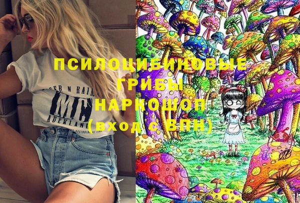 бутират Инсар