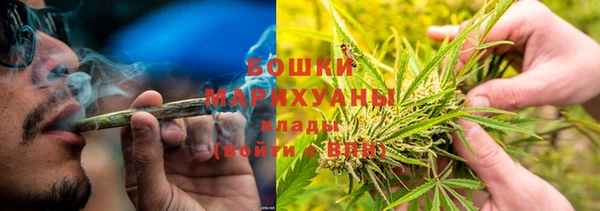 ешки Инта