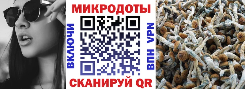 Купить закладки  Ивдель  Псилоцибиновые грибы MAGIC MUSHROOMS 